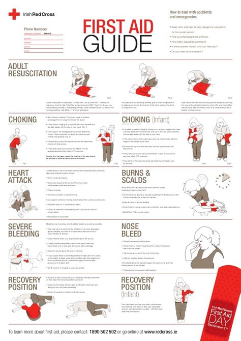 10 Best First Aid Choking Poster Printable Artofit