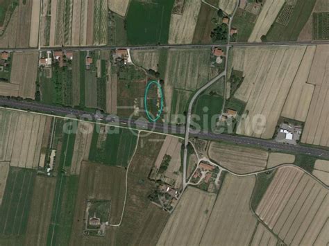 Asta Per Terreno Agricolo Via Fosso Vecchio San Frediano Sud San