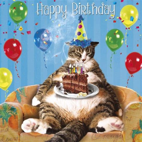 Elegant Photo Of Cat With Birthday Cake Entitlementtrap Cat