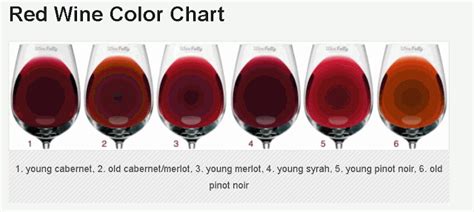 Red Wine Color Chart Wine Folly Red Wine Wine Chart