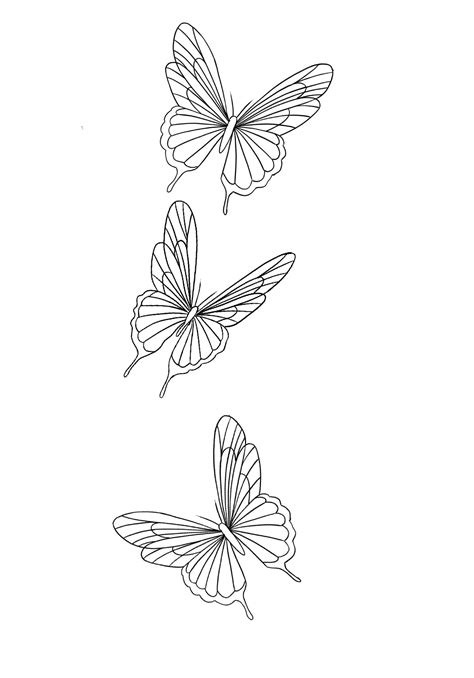 Three Butterflies Flying Side By Side