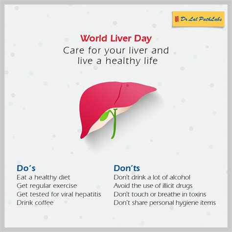 World Liver Day 2022 How We Can Keep The Liver Healthy