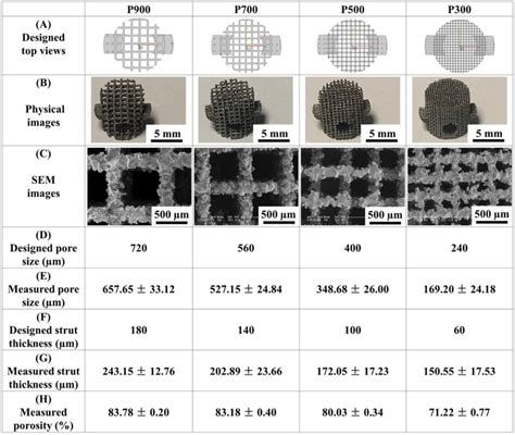 Four Scaffolds With Different Pore Sizes A Designed Top Views Using