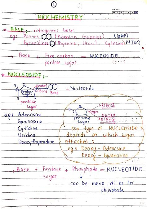 SOLUTION: Biochemistry Metabolism Overview - Studypool