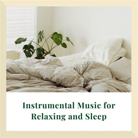 Instrumental Music Cds for Relaxing and Sleep, Various Composers de ...