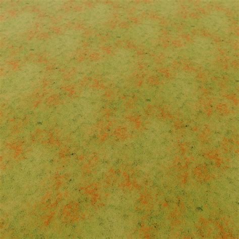 Patchy Dry Grass Texture 2197 - LotPixel