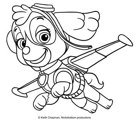 Paw Patrol Skye Coloring Sheet Paw Patrol Coloring Pages Paw Patrol