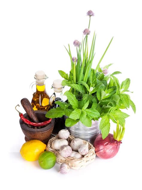 Fresh Herbs And Spices Stock Image Image Of Mint Healthy 70976579