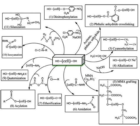 7 Schematic Presentations Of Some Chemical Surface Modification Methods Download Scientific