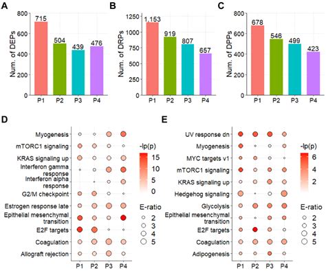 Cells Free Full Text Proteomic And Phosphoproteomic Profiling