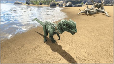 Ark Dilophosaur Guide (Abilities, Taming, Food, Saddle, Breeding, Drops ...