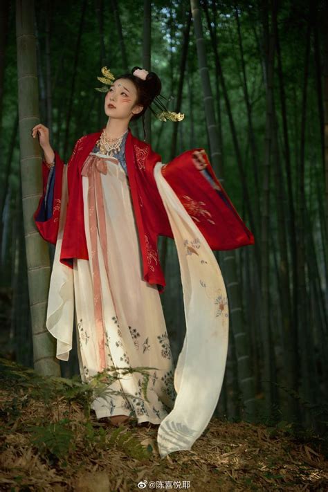 Hanfu漢服 China Tang Dynasty Chinese Traditional Clothing Hanfu