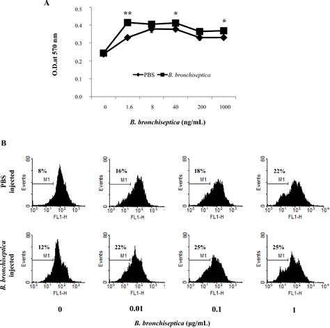 Figure 1 From Stimulatory Effects Of Bordetella Bronchiseptica Antigen