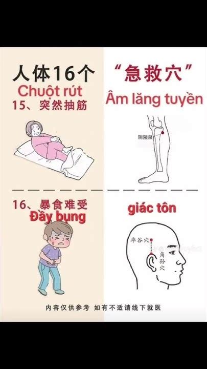 Bấm Huyệt Chữa Các Bệnh Thường Gặp Rất Hiệu Quả Youtube