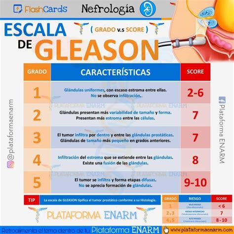 Escala De Gleason Medicina De Urgencias Materias De Enfermeria