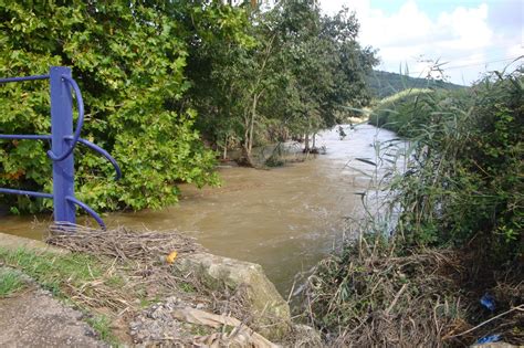 Los Ecologistas Denuncian El Mal Estado Y El Deficiente Mantenimiento