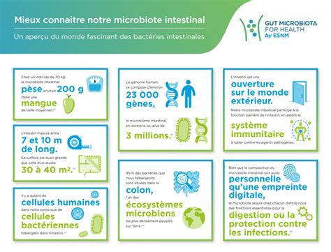 Alimentation Et Santé Le Rôle Du Microbiote Du Tube Digestif