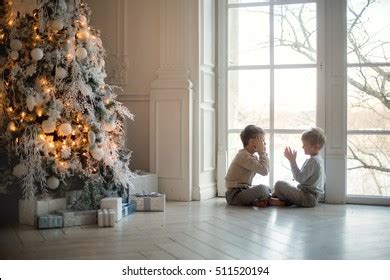 Two Brothers Blonde Gray Jackets Sitting库存照片509691859 Shutterstock