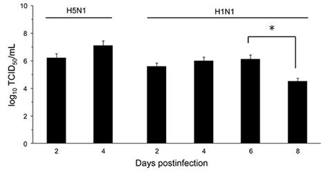 Figure 3 Influenza A Strain Dependent Pathogenesis In Fatal H1N1 And