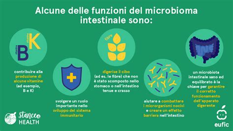 Modellare Il Microbioma Intestinale Attraverso Un Alimentazione