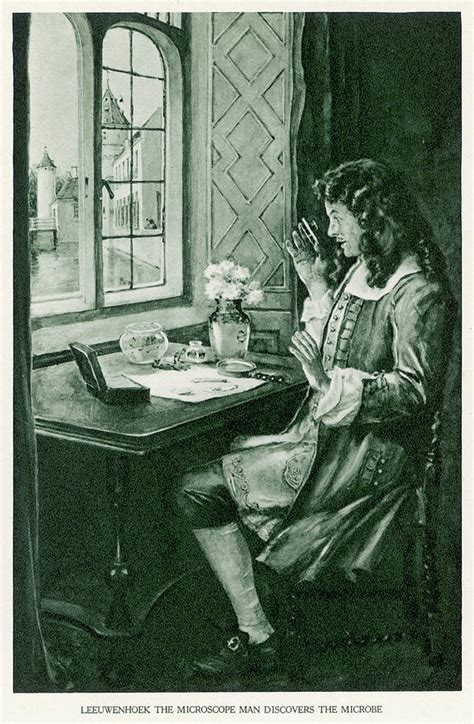 Anton Van Leeuwenhoek Dutch Drawing By Mary Evans Picture Library