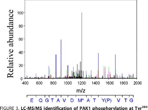 Figure 3 From JAK2 Tyrosine Kinase Phosphorylates PAK1 And Regulates