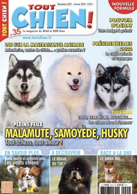 Tout Chien N Num Rique Tout Chien Le Magazine