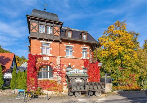 Perückensträucher an der Papiermühle in Jena