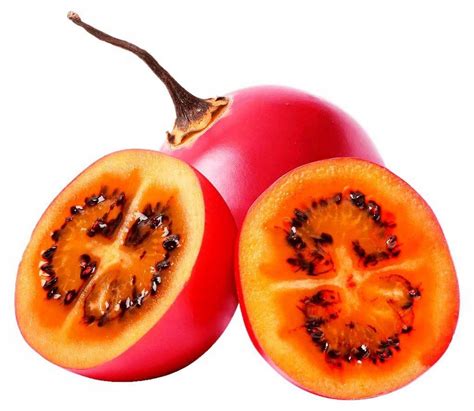 Pomidor Drzewiasty Tamarillo Sadzonka W P Oficjalne