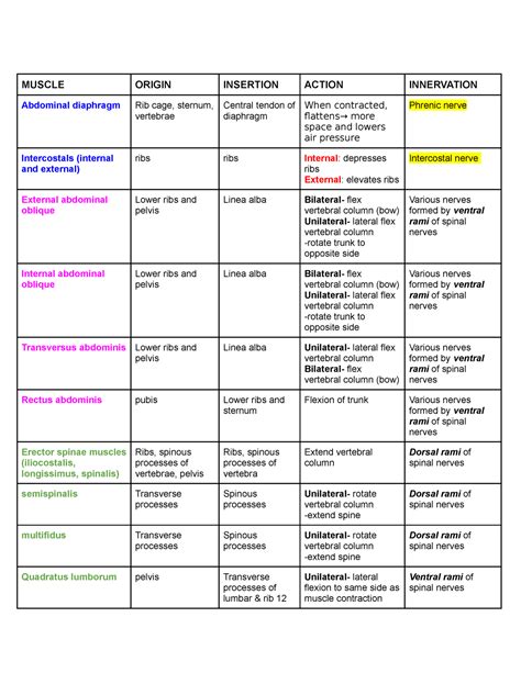 Muscles Of Trunk MUSCLE ORIGIN INSERTION ACTION INNERVATION Abdominal