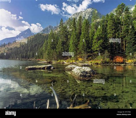 Grand Teton National Park Landscape In Spring United States Of America