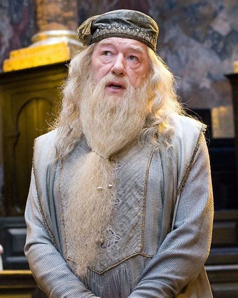 'Harry Potter' Fans 'Raise Their Wands' In Tribute To Late Sir Michael Gambon