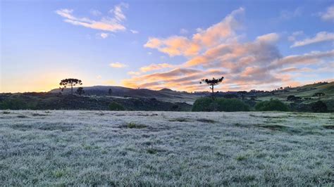 Galeria De Fotos Imagens Do Frio De Novembro Na Serra Catarinense