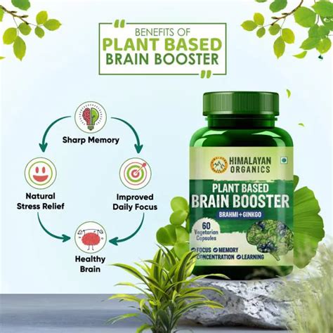 Himalayan Organics Plant Based Brain Booster Supplement With Ginkgo Biloba And Brahmi Boost