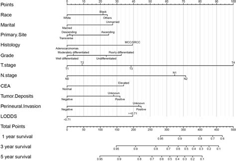 Nomogram Of 1 3 And 5 Year Css Prediction In Patients With