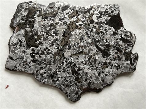 Zagora Silicated Iron Southwest Meteorite Laboratory