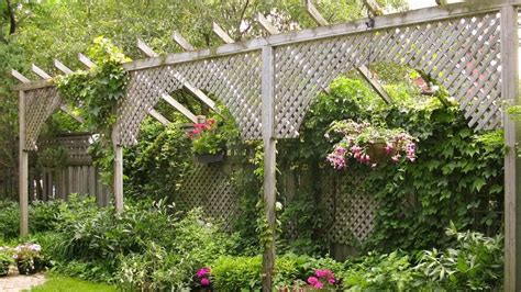 How to Make a Fence Taller for Better Privacy — Empress of Dirt