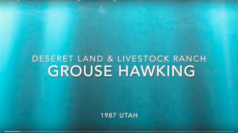 Falconry Deseret Land And Livestock Sage Grouse Hawking 1987 Youtube