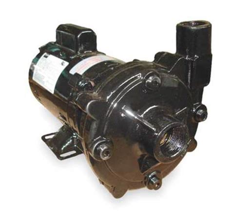 Dayton Cast Iron 34 Hp Centrifugal Pump 115230v 2zxl9 Zoro