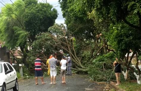 Chuva Forte Em Araraquara Derruba árvores Em 3 Bairros São Carlos E