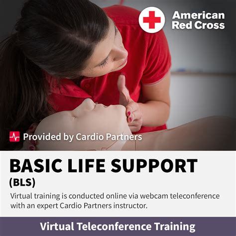 American Red Cross Basic Life Support Bls