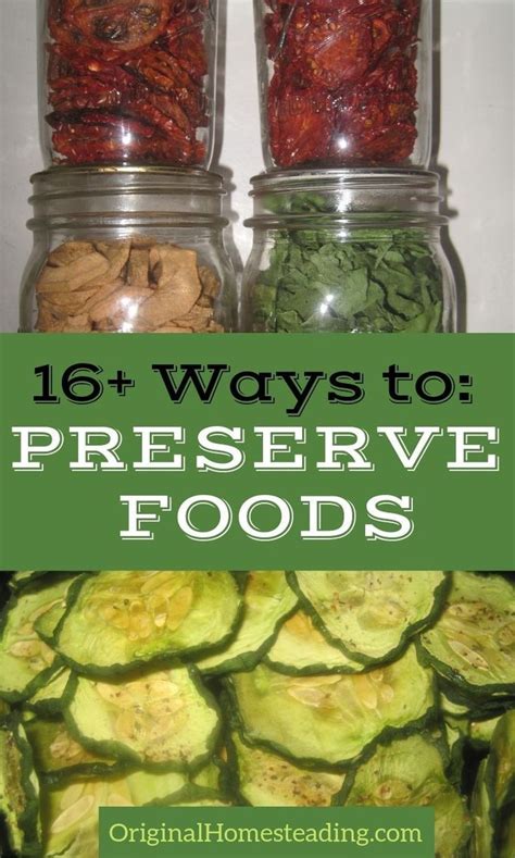 Ways To Preserve Food 16 Modern And Traditional Preserving Food