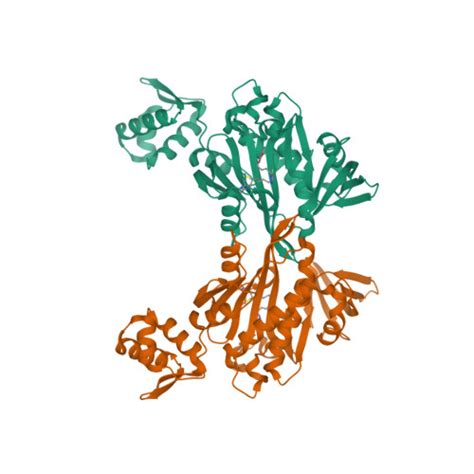 RCSB PDB 8ENI Crystal Structure Of Staphylococcus Aureus Biotin