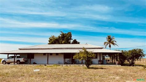 Fazenda Hectares Na Bahia Em Barra Ba Venda Compre