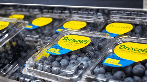 How Driscoll S Pivoted From Fresh In Store To Fresh Online