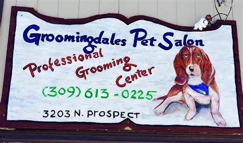 Groomingdales Pet Salon Updated January 2025 18 Photos 3203 N