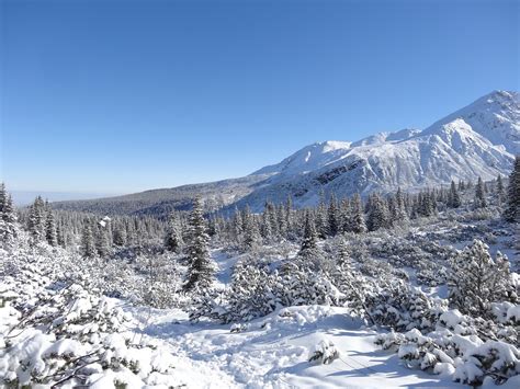 Winter Mountains Poland - Free photo on Pixabay - Pixabay