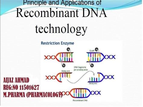 principle and applications of recombinant DNA technology