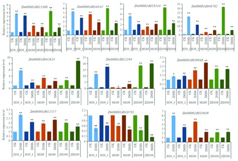 Verification The Expression Of Degs By Qrt Pcr Bars Show Standard