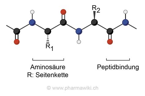 Pharmawiki Proteine